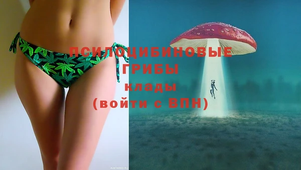 винт Армянск