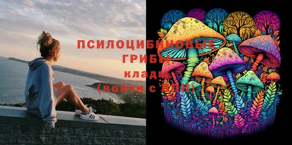 соль курить ск Аркадак