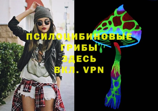 винт Армянск