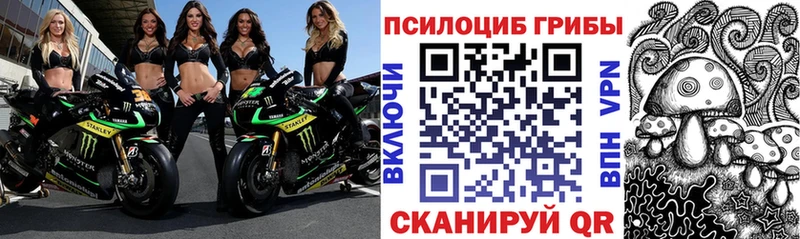 Галлюциногенные грибы ЛСД  продажа наркотиков  Дедовск 
